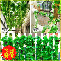 Green Leaf Decoration Emulation Grape Leaf Fake Leaves Plant Evergreen Vines Bag Sewer Pipe Ceiling Plastic Flowers Vine