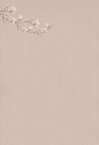 Wedding Chinese style photo background family portrait monochrome background paper photo studio costume photo background PZ-1252