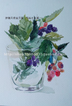Pure Hand Painted Watercolor Painting Flowers Series Of Flowers of the Colorful Flowers of the Flowers Tranquilo Garnet