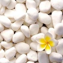 White small stone white stone colored sand Rain Flower Stone meat potted plant fish tank stone ornament paving stone