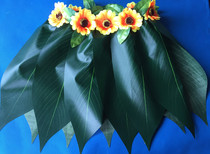  Hawaiian hula leaves hula waist sunflower flower hula dance special clothing
