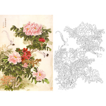 Meticulous painting drawing flower bird Peony ribbon Liang Yansheng 66*95 physical printing draft with color picture 540T