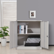 Three Flowers Iron Sheet Cabinet Short Cabinet Lockers Small Cupboards With Lock Files Office Cabinet Information Cabinet