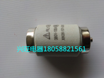 RL1-100 Fuse Fuse 100A