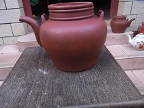 Sea Life Star One of the Purple Sands of the Republic of China