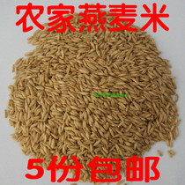 Tianjia shop: farmhouse self-planted new oat rice 500g eight-treasure rice soy milk oatmeal porridge raw material Rice