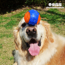 Dog toy ball resistant to bite elastic vocal ball puppies Large canine fur pet Toy ball grinding tooth training