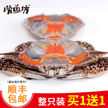 Ningbo specialty flying crab Zhoushan seafood shuttle crab Canned crab Drunk crab crab pliers Ready-to-eat crab legs canned choking crab