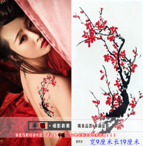 Plate womens square tattoo sticker photo studio costume photo decals costume art photo stickers plum blossom