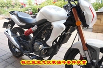 Qianjianglong 19c Blue Baolong motorcycle modified oil-cooled oil radiator