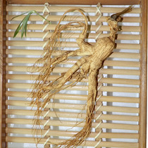 Jilin specialty Changbaishan Ginseng Forest Xiayeshan Ginseng Bulk mountain ginseng