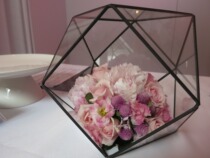  Succulents Glass greenhouse Large starry sky lamp Micro-landscape greenhouse