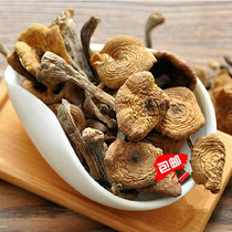 New Wild Hazelnut Mushroom Northeast Changbai Mountain Mushroom Stew Chicken 250g A Dry Goods