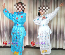 Drama song costume White snake Green Snake costume Play dress Bai Suzhen War suit Wu Dan costume White Lady Xiaoqing performance suit