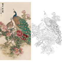 Gongbi painting white sketch manuscript Peacock peony Tian Shiguang physical hook line print draft 66*123 with color map 112T