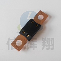 MEGA fuse holder modified car fuse 250A Bolt fuse