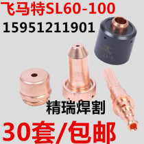 Boutique Fei Matt plasma cutting machine accessories SL100 cutting nozzle 9-8211 9-8212 electrode 9-8215