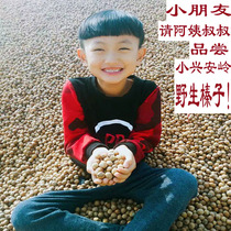Original hazelnut Northeast Xiaoxinganling specialty wild nut cooked fire hazelnut thin skin small water leak hazelnut 500g