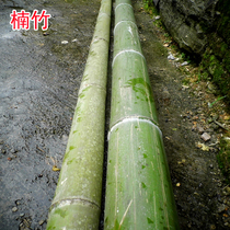 Fresh bamboo material Mao bamboo building materials wholesale decoration courtyard balcony set fence gardening supplies