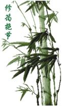 Cross stitch electronic drawings 596 bamboo 159W * 279H9 color PAT source file