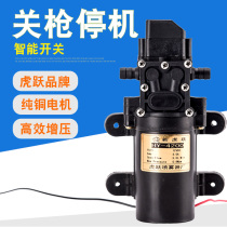Smart 5 0L Pressure switch Off gun down 12V volt high-pressure self-priming Car wash agricultural electric sprayer water pump