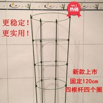 Climbing vegetable climbing vine rose Vine Vine riding frame reinforcement wrought iron wedding ground flower stand Flower Vine support frame