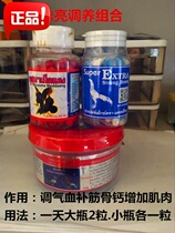 Cockfighting cockfighting supplies cockfighting Thailand cockfighting medicine Thailand cockfighting training