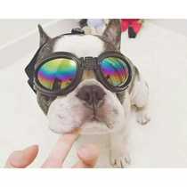 Pets Universal Kitty Dog Dogs Exclusive Juggling Anti-Gale Sun Glasses Dispensers Recommend Hot Selling Full 100