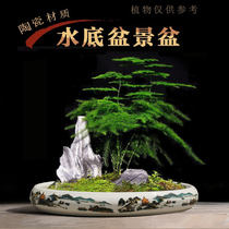 Upper water stone false mountain suction water stone basin oval rectangular round green flower porcelain ceramic bonsai flower pot with no holes