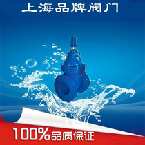 Shanghai Ptung valve SZ45X-16Q underground soft sealing gate valve flange ball ink buried type gate valve DN50