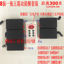 80 m 5-way wireless multifunction shaker 1-8 vibration remote wireless silent remote control