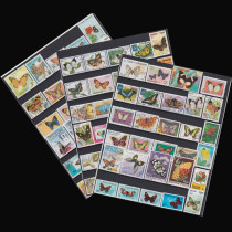 Foreign World Insect Butterfly Pupa Special Stamps 100 Different Collection Full 100 Express