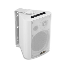 Tamo Tova TS-2191BM Broadcast 20W Wall-mounted active audio without amplifier with Bluetooth with U disk