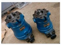 10SCY14-1D 25SCY14-1D 40SCY14-1D 63SCY14-1D 80SCY14-1D Piston pump