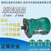 10SCY 25SCY 40SCY 63SCY 80SCY 160SCY 250SCY14-1D axial piston pump