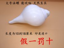 Tibetan Tantric Buddhist supplies Nepal imported handmade conch method screw method can be blown