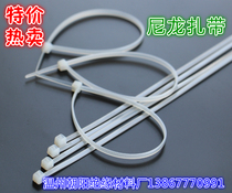 Factory special price nylon cable tie with environmental protection nylon white cable tie strap 10*300 1 pack 100 only