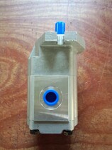 Sany Zhonglian pump truck water pump air-cooled water washing motor PLM20 25R universal CASAPPA Kasapa