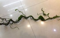 Simulation 76cm dry vine dry vine landscape Rattan Mall emulation plant wall plants wall decoration