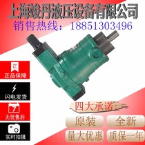 10 16 25 32 40 63 80 100 160 250 400YCY14-1D High pressure axial piston oil pump