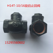 Cast iron thread check valve horizontal check valve screw-up check valve one-way check valve DN15 20