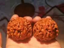 Centennial old tree play walnut white lion head Wild cross tip four buildings Nanjiang stone special price Buddha beads 42