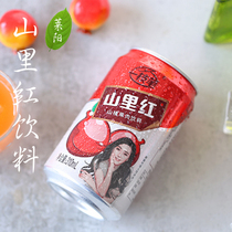 A pen Hawthorn pulp drink Shanlihong 60% juice fruity drink New Year gift 310ml * 20 canned