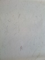 Six-foot screen book Fate net leather long fiber rice paper] Sixty-seven points cooked Jin Tang Daxuan Daxi Two Wang Xingcao