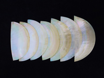 Factory Wholesale natural yellow disc shell sheet creative home decoration mosaic background wall decoration snail film