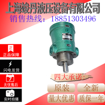 Manufacturer direct sales 40MCY 40MCM14-1B quantitative axial plunger pump oil pump motor 13122588511