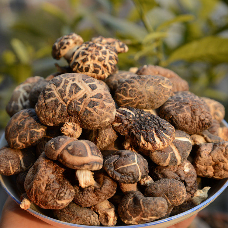 (Xiaoqian Shan Zhen) Northeast specialty Top grade Basswood mushroom Winter shiitake mushrooms 250g selection