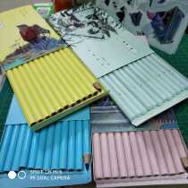 Mia Charcoal Pen Miya Charcoal Pen A World Tiny Bird Charcoal Pen Carbon Pen Soft Beast Series Soft charcoal pen