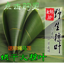 Rice Dumplings Rice Dumplings Rice Dumplings Rice Dumplings Rice Dumplings Rice Dumplings Rice Dumplings Rice Dumplings Rice Dumplings Fresh Authentic Farmhouse 30 Zhang Zongzi
