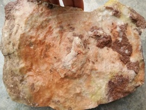 Ning Qiang Coral Jade Fossil Engraving Material Red yellow and white Three-color fine grain fine material hand fingerprint boutique chiishi raw stone L